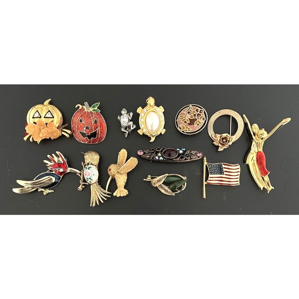 Lot of 13 Brooches and Pins - AS IS